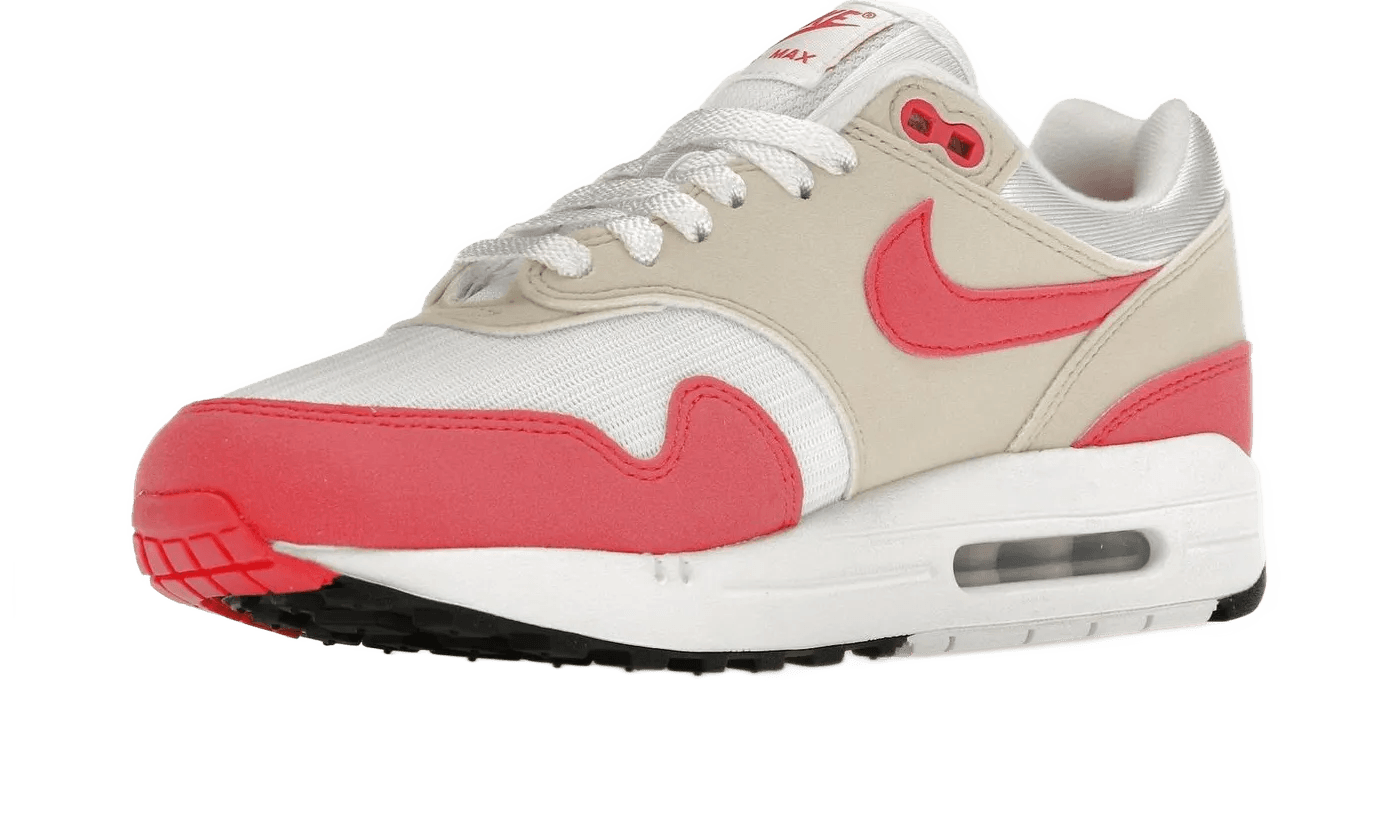 Nike Air Max 1 Aster Pink - DZ2628-110