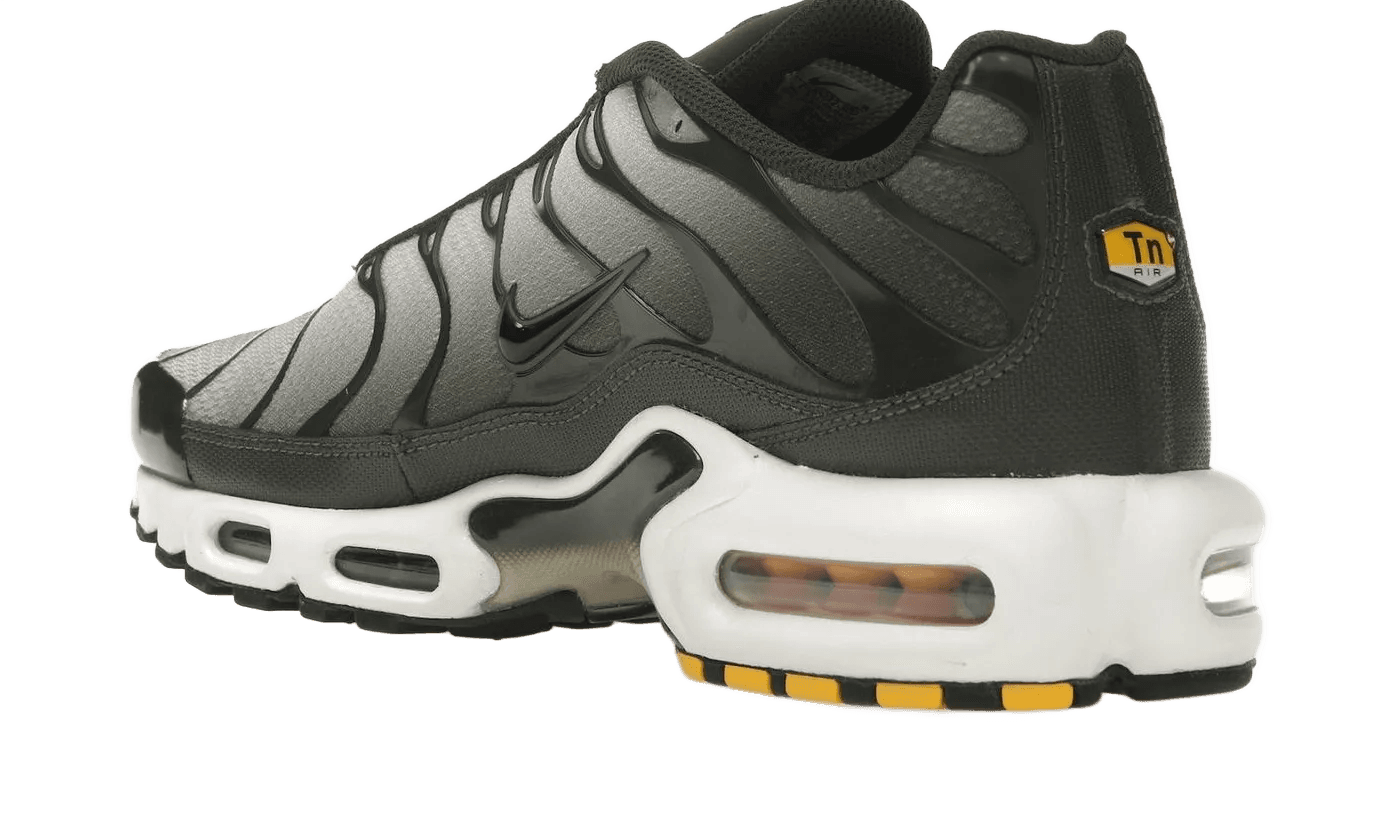 Nike Air Max Plus Sequoia Cargo Khaki - DM0032-300